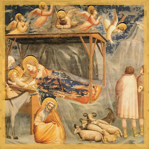 Nascita di Gesu - Giotto